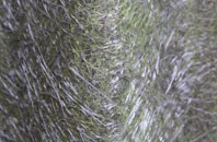 Kimworthy fibreglass roof work